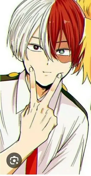 Profile image of Todoroki