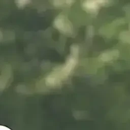이지훈