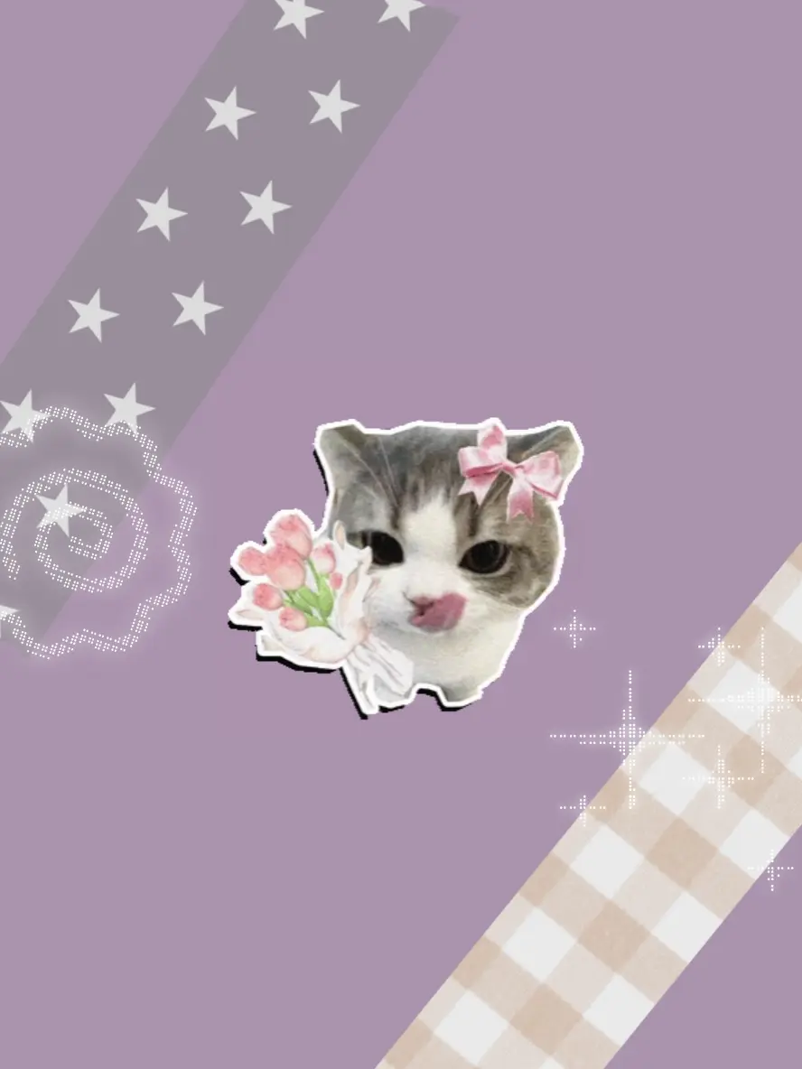 roheeee의 Best friend