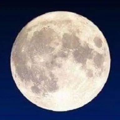 Profile image of 초아