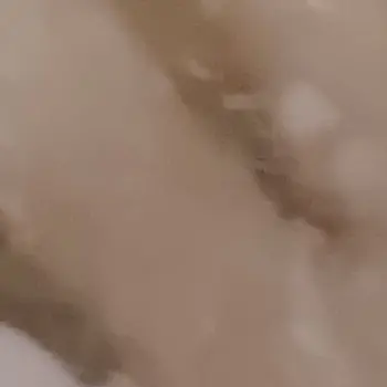 Profile image of あ