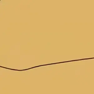Profile image of 西園寺羽京
