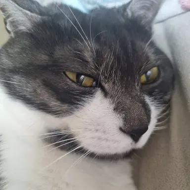 Profile image of 루루