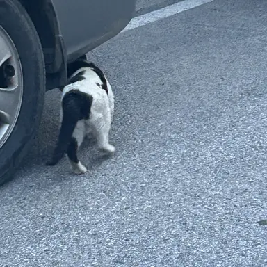 Profile image of 하준