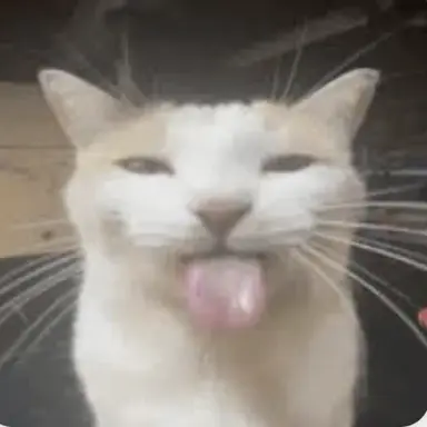 Profile image of Christian