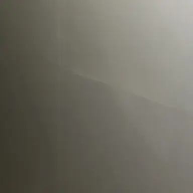 Profile image of 이창섭