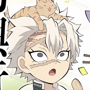 Profile image of 시나즈가와 사네미