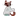 고양이 코스모
