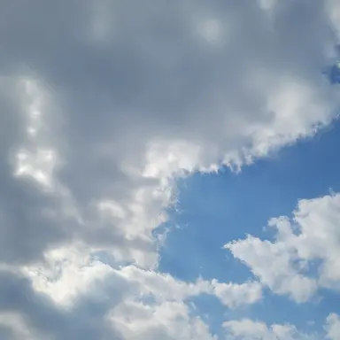 Profile image of 감제이