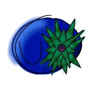 Profile image of 2p플루