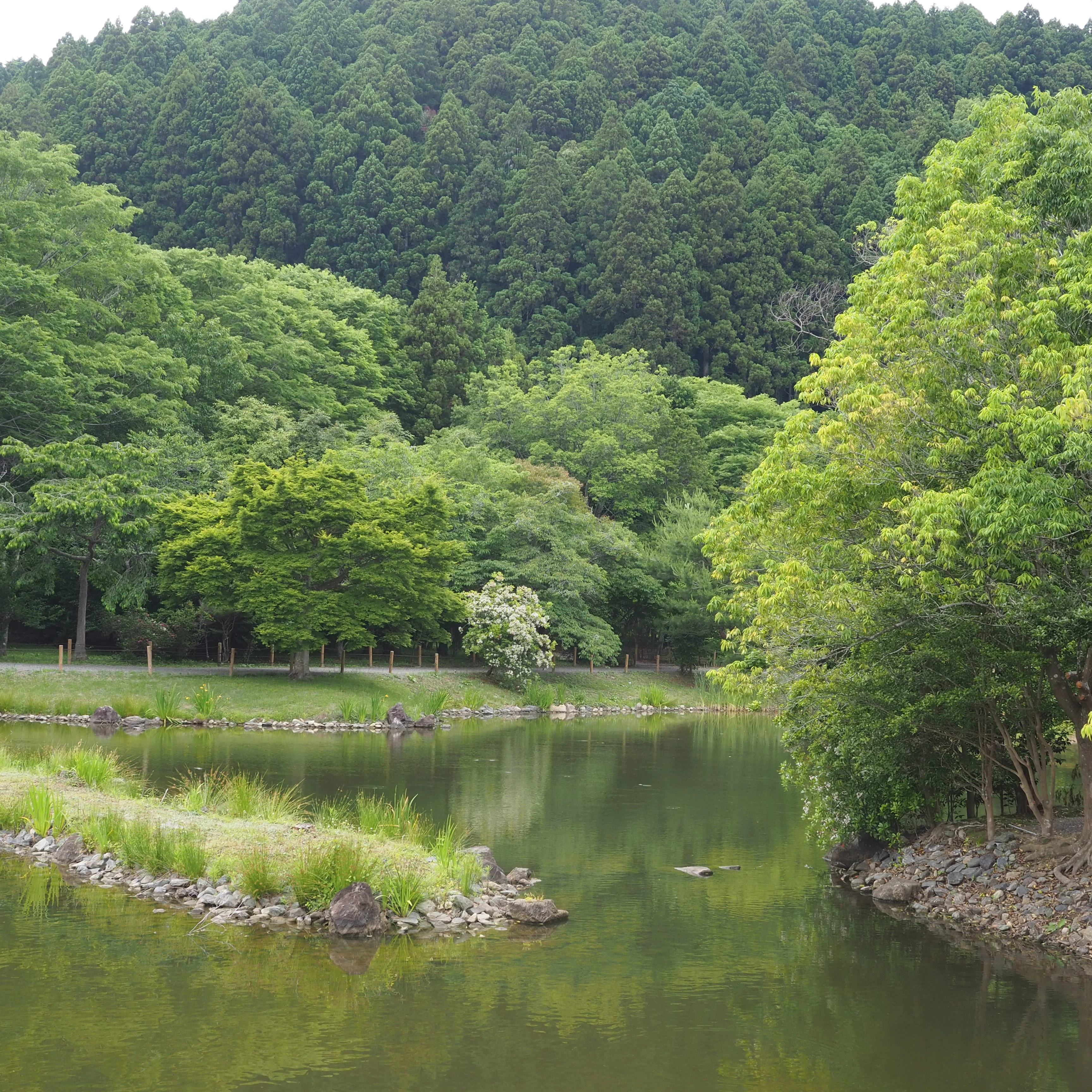 剣と魔法の世界