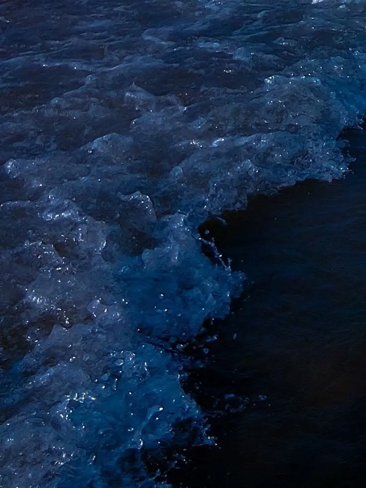 hapari_sun82의 You Who Drowned in the Sea