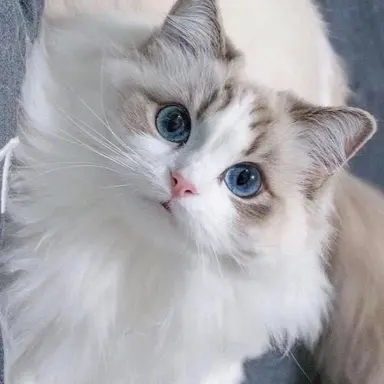 Profile image of 당신