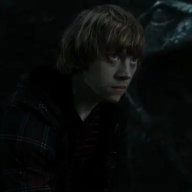 Profile image of Ron
