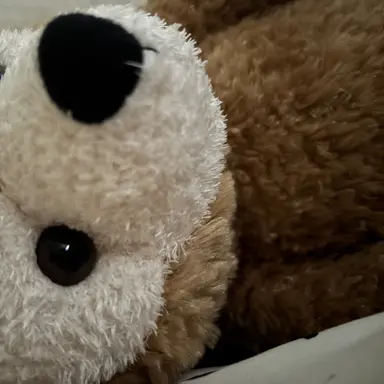 Profile image of 関田-誠大