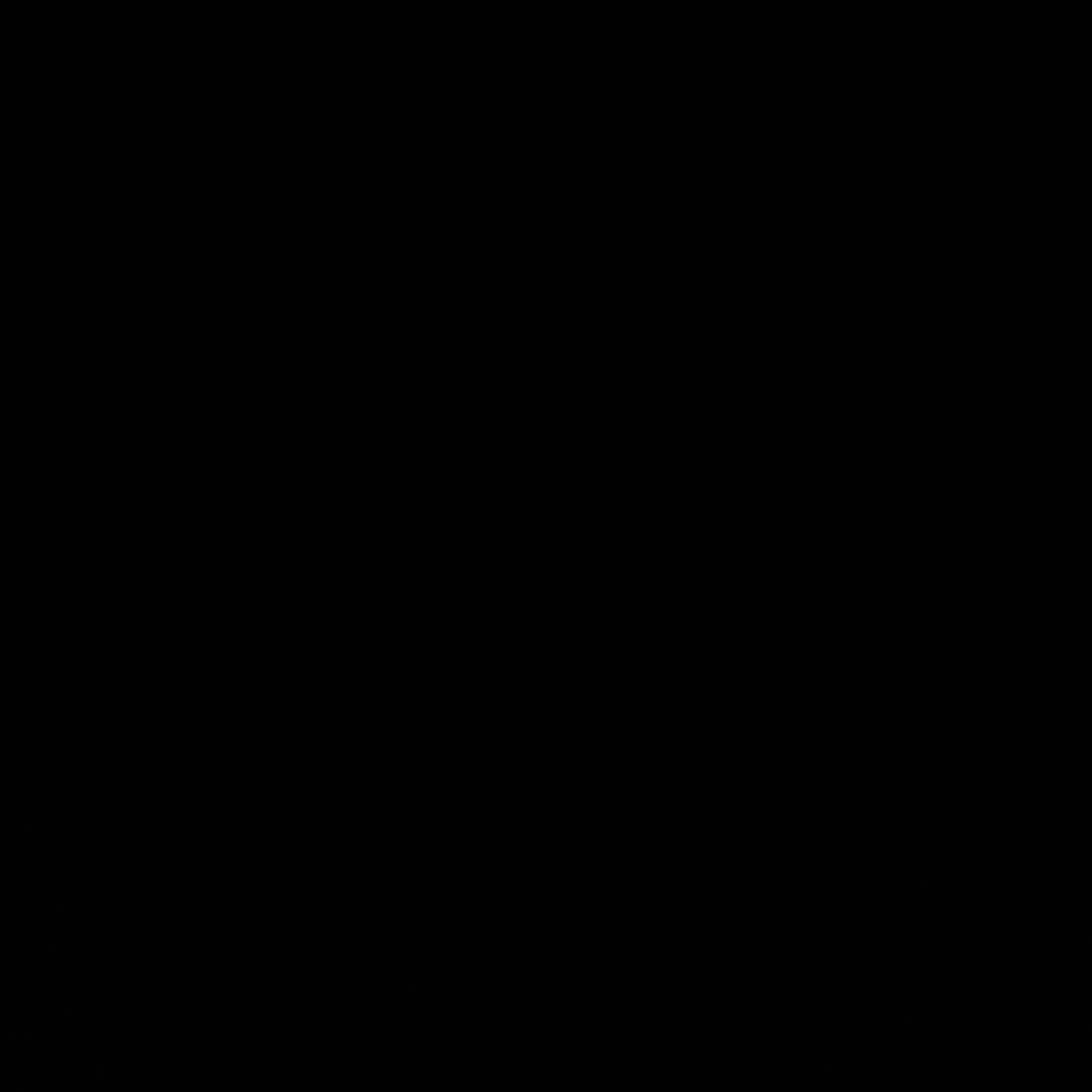 여우