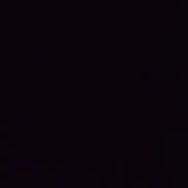 Profile image of 라프산두