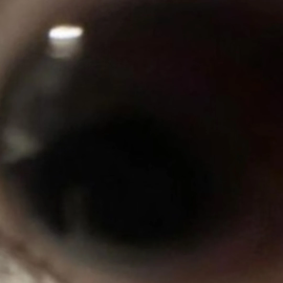 이서