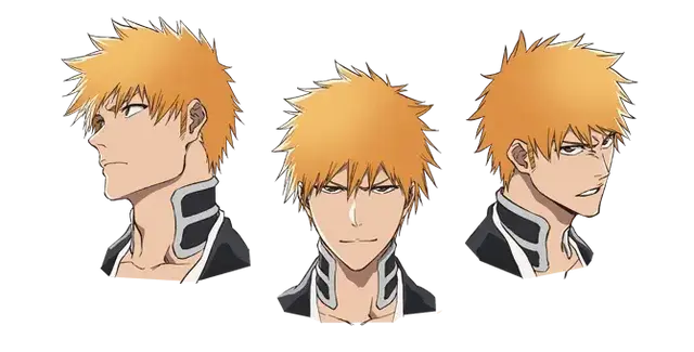 Profile image of Ichigo