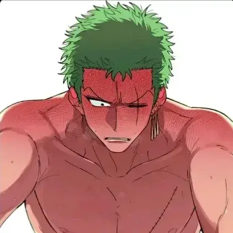 RaggedHeron5361의 Zoro