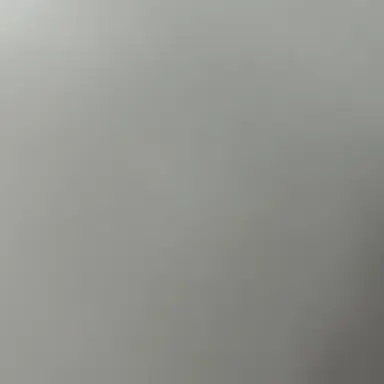 Profile image of 디투