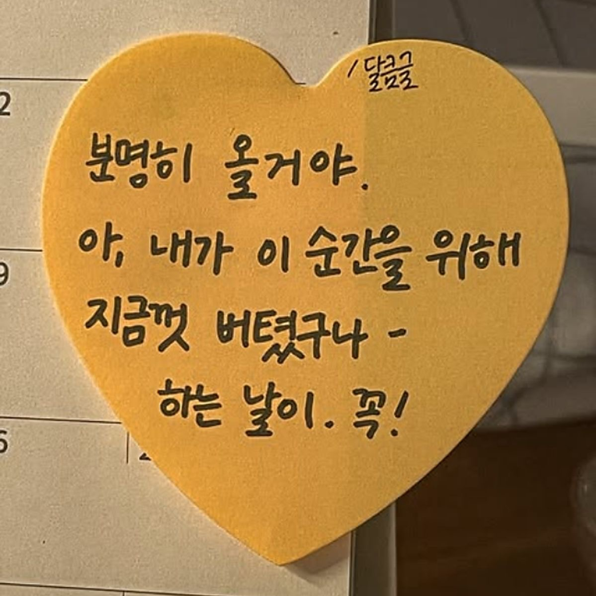 권수중 대표 이미지