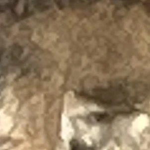 강태현