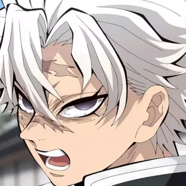 Profile image of 시나즈가와 사네미