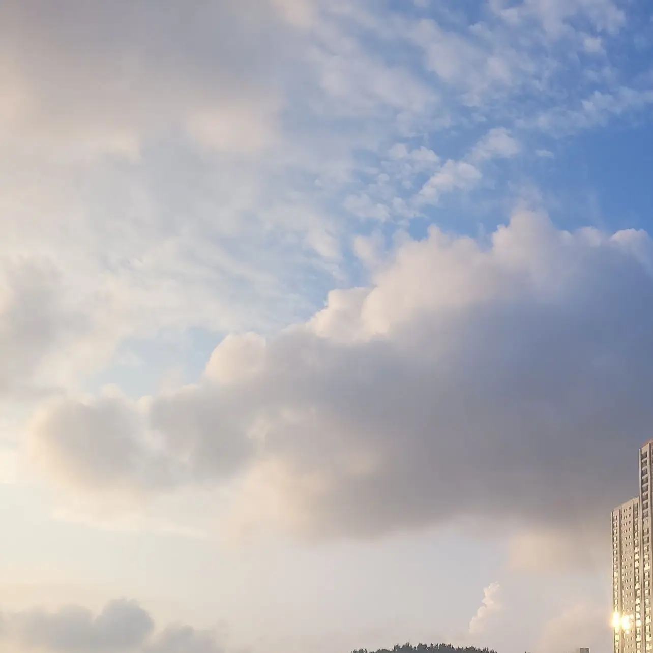 BasicBack2444의 오페라&카르에고