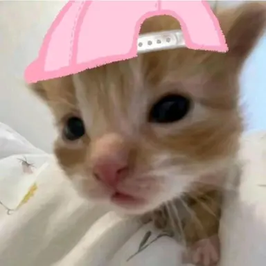 Profile image of 여우