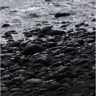 Profile image of 여원영