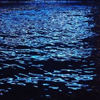 Profile image of 여태주