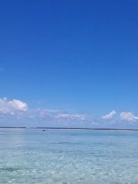 likeoceanfish의 레, 레쿠쟈?! 아, 아니야..!!