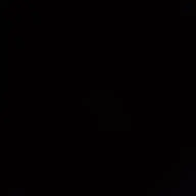 Profile image of -