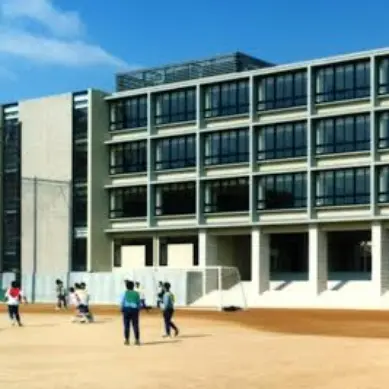 RoomyLyre6831의 灘高等学校