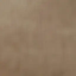 Profile image of 우디