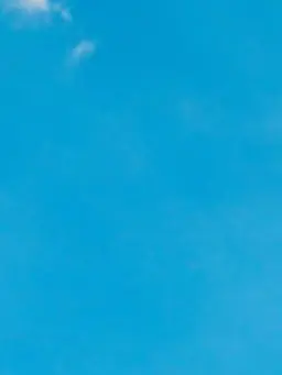 DaftlySugar3551의 도망자들