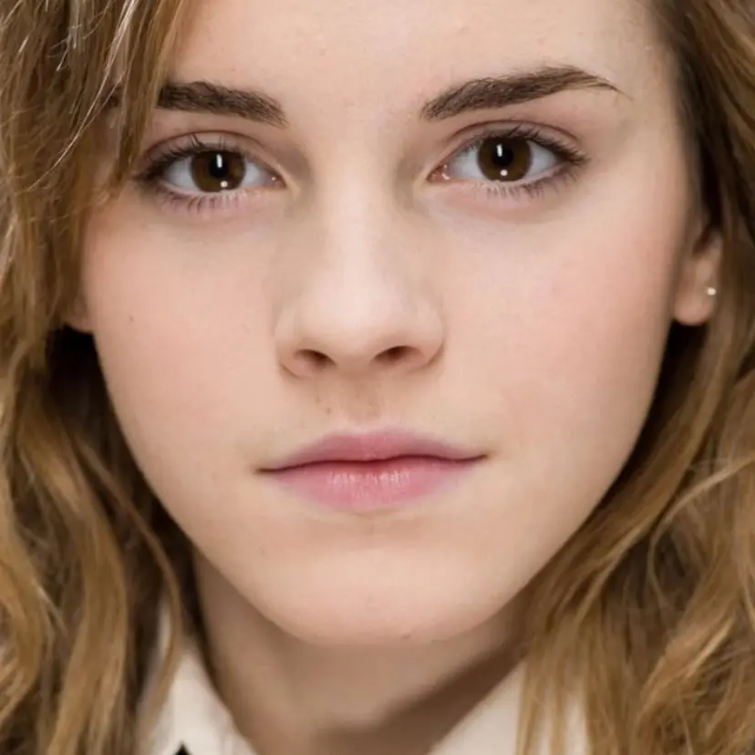 PromptCharm0475의 Hermione