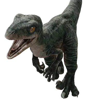 Profile image of Delta