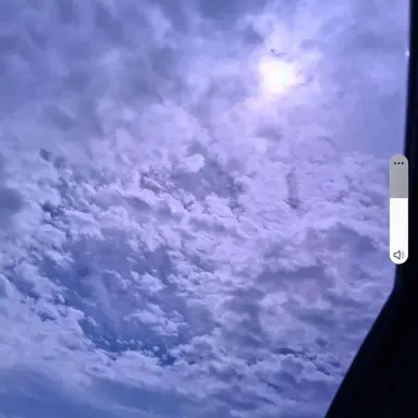 Profile image of 개발자