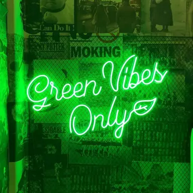 Profile image of 공룡