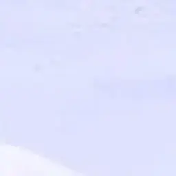 Profile image of 한동민