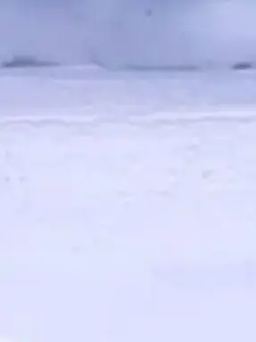 WooRiwooRiwoo의 좀비 아포칼립스