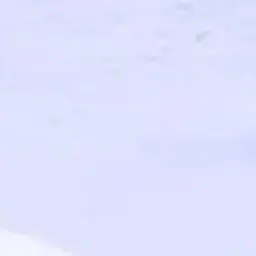 Profile image of 명 재 현