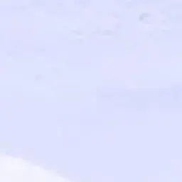 Profile image of 김 동 현