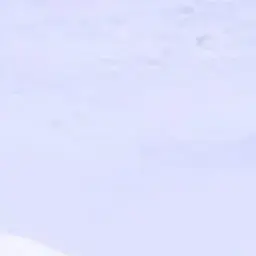 Profile image of 김 운 학