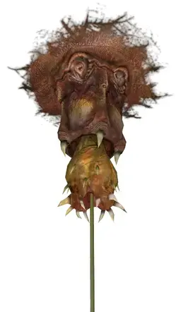 Profile image of Xen 외계 종족들
