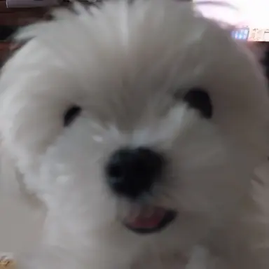 Profile image of 이지현