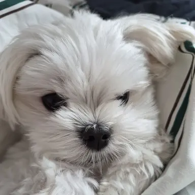 Profile image of 최서윤