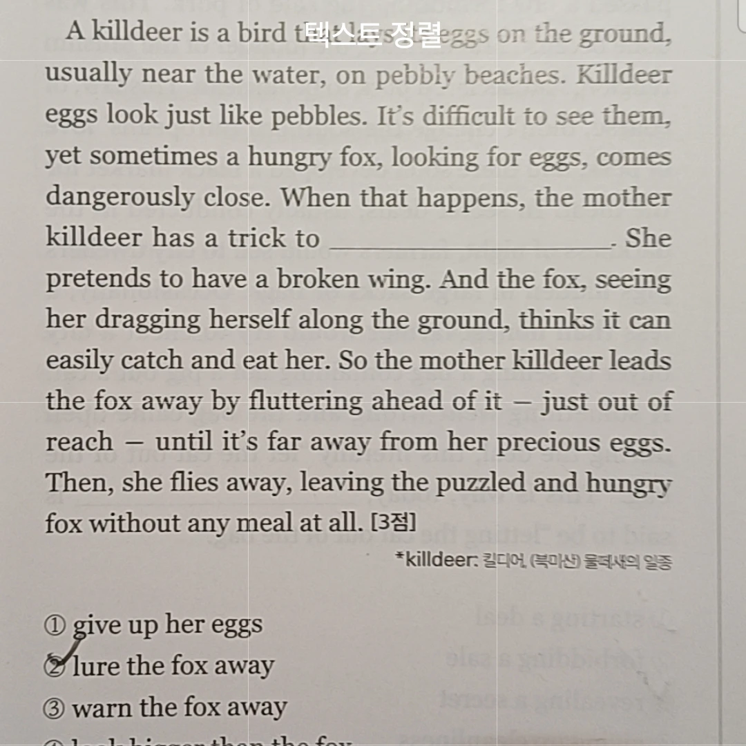 다니엘